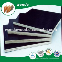 construction plywood/construction board/construction timber